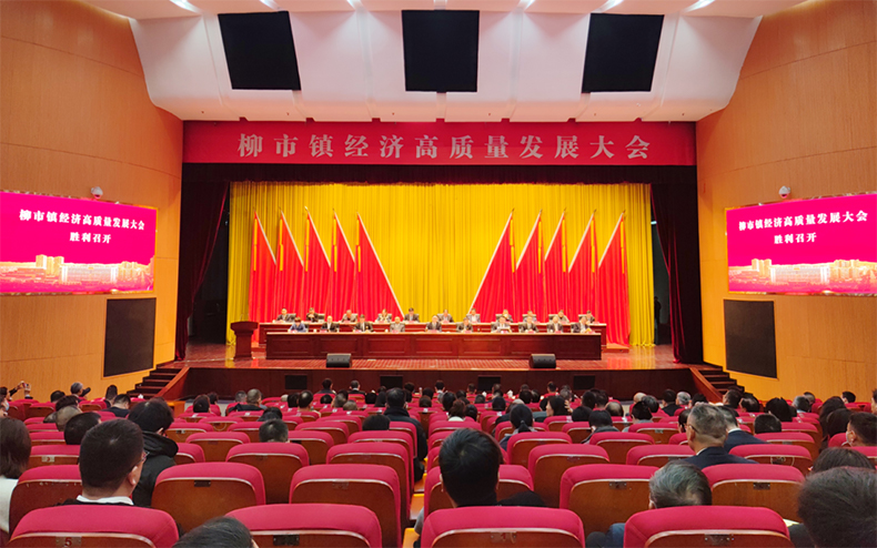 敢闯敢拼，担当“头雁”！柳市镇经济高质量发展大会召开，公司再添荣誉