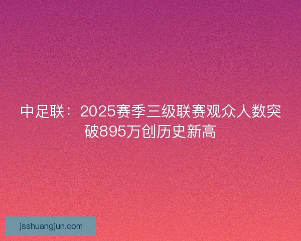 中足联：2025赛季三级联赛观众人数突破895万创历史新高