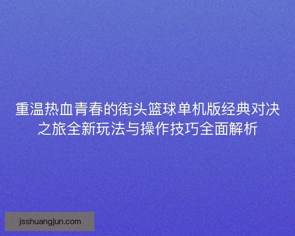 重温热血青春的街头篮球单机版经典对决之旅全新玩法与操作技巧全面解析