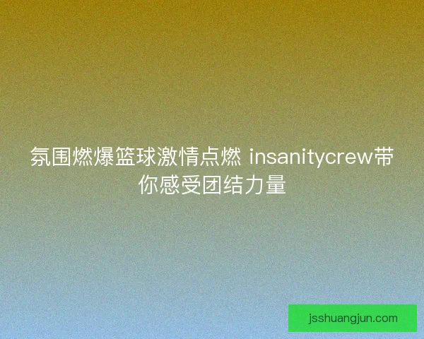 氛围燃爆篮球激情点燃 insanitycrew带你感受团结力量