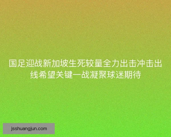 国足迎战新加坡生死较量全力出击冲击出线希望关键一战凝聚球迷期待